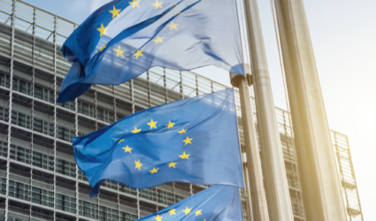 Image mise en avant Site UFE